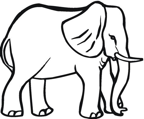 Gambar 12 Sketsa Gambar Mewarnai Binatang Gajah Sebagai Media Belajar