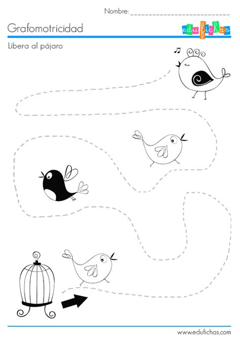 Esta actividad para niños de 2 a 3 años promueve el desarrollo de la motricidad fina y lo volverá más ágil con los objetos pequeños. Ejercicio de líneas para repasar con dibujos de pájaros | Actividades para niños, Actividades ...