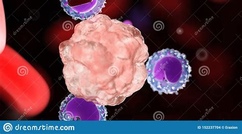 Leucocytes Attacking A Cancer Cell Stock Illustration Illustration Of