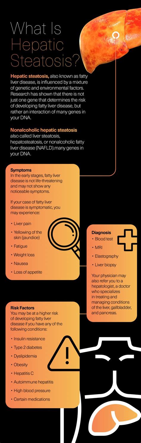 What Is Hepatic Steatosis Fatty Liver Disease