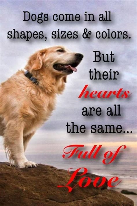 We did not find results for: unconditional love | Dog love, Dog quotes, Dogs