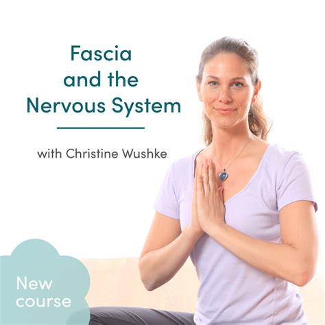 Fascia And The Nervous System Live Online Course Freely Human