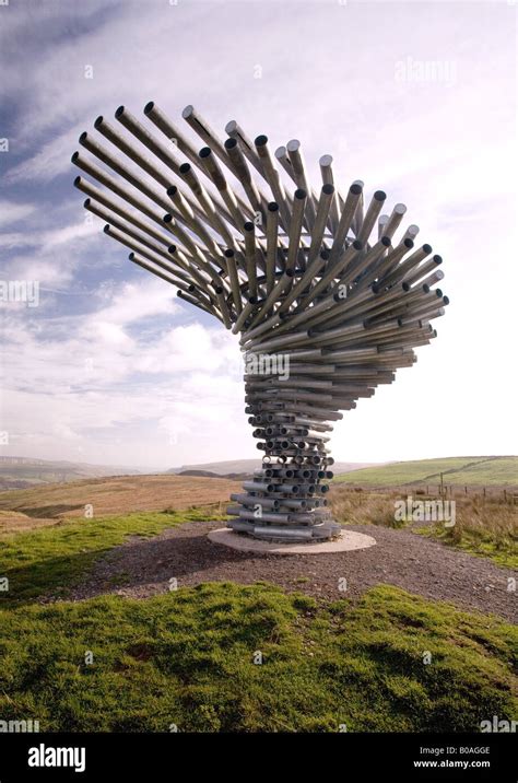 Burnleys Panopticon The Singing Ringing Tree Is A Unique 21st