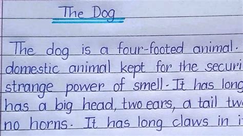 Essay On The Dog Writing English Writing Essay Writing