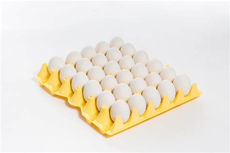 Large Eggs 1 Tray 30 Pcs Davao Groceries Online