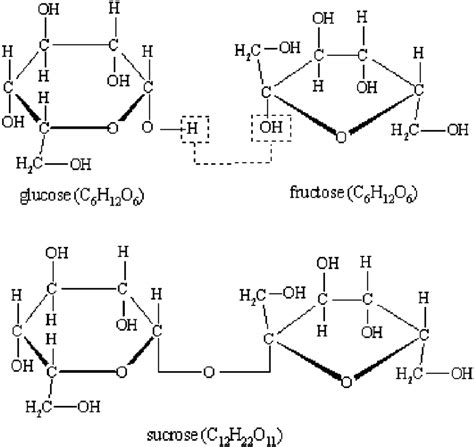 Structural Formula Of The Sucrose Glucosefructose Download
