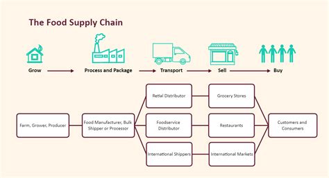 Food Supply Chain Diagram Edrawmax Edrawmax Templates