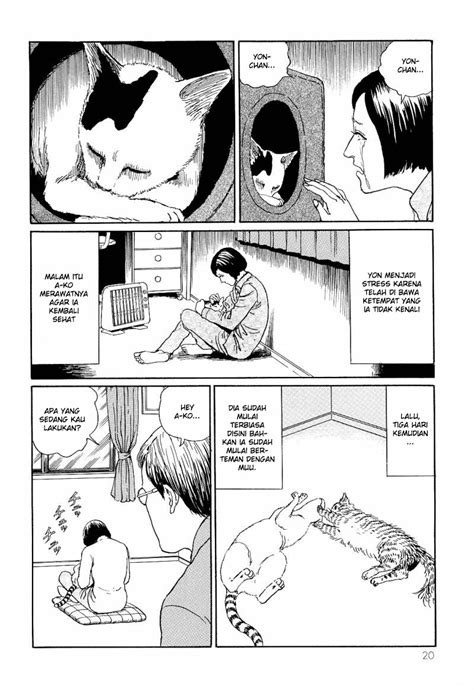 Baca Komik Junji Ito Cat Diary Bahasa Indonesia Chapter 2 Manga Coin