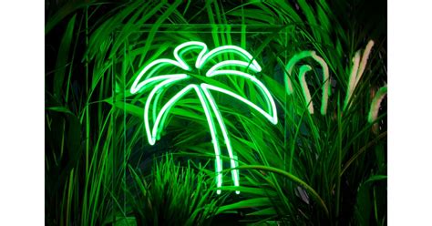 Palm Tree Neon Light £27900 Where Can I Buy Neon