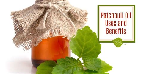 When You Learn All The Patchouli Oil Uses And Benefits You Will Want