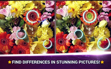 Find The Difference Flowers Midva Games