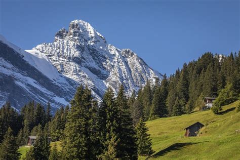 Snowcapped Bernese Swiss Alps Breithorn And Alpine Farms Switzerland