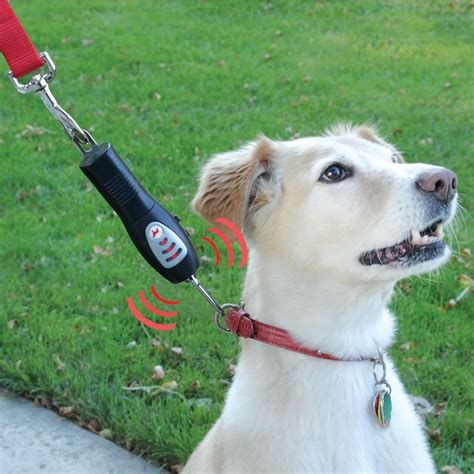 The Tug Preventing Dog Trainer Hammacher Schlemmer Suitable For All
