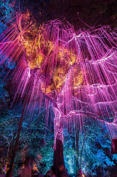 The secret garden study guide contains a biography of frances hodgson burnett, literature essays, quiz questions, major themes, characters, and this interest in innocence and magic is seen by darcy as a sort of means for burnett to make sense of her own grief, where the magical child characters of. Enter the surreal magical world of Pandora; Penang Avatar ...