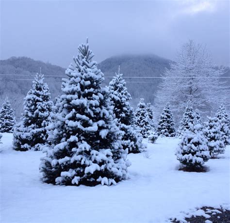 Winter Activities In Maggie Valley North Carolina
