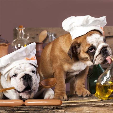 However, this is a dangerous generalization, as some types of chamomile are toxic to cats and dogs alike. Safe Herbs and Spices for Dogs | Greenfield Puppies