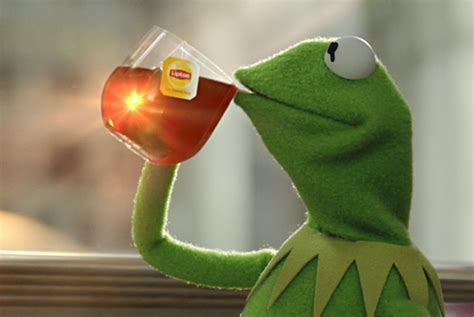 Kermit The Frog Stars In Hilarious New Internet Meme