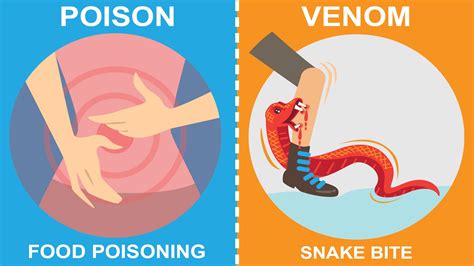 Difference Between Poison And Venom Types Of Toxins
