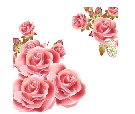 Pink Flower Background Png Hd Canvas Brah