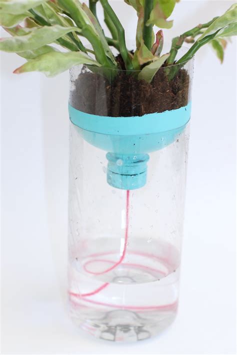 Diy Self Watering Planters With Recycled Bottles