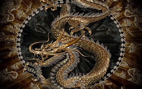 Gold And Silver Dragon Illustration Chinese Dragon Dragon Hd