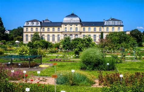 Bonn Mit Kindern 21 Geniale Ausflugsziele 2023