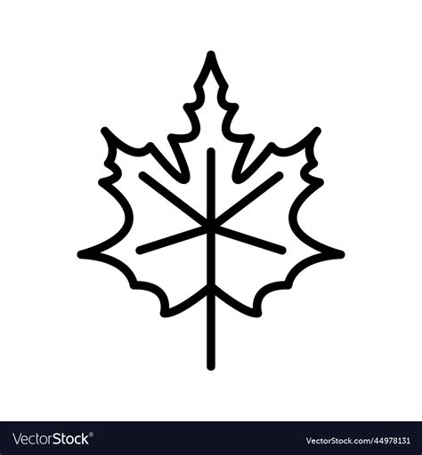 Autumn Maple Leaf Icon Design Template Clipart Vector Image