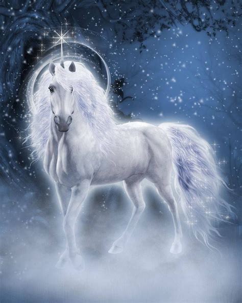 Unicorn Fantasy Myth Mythical Mystical Legend Licorne Enchantment