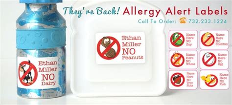 Food Allergy Alert Labels For Kids Waterproof Daycare Etsy