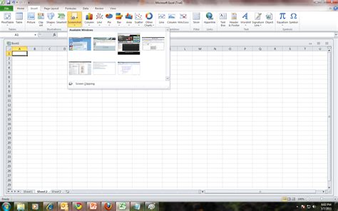 Screenshots in Microsoft Excel 2010 ~ Microsoft Office Support