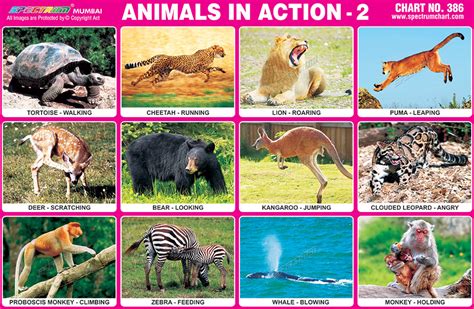 Spectrum Educational Charts Chart 386 Animals In Action 2