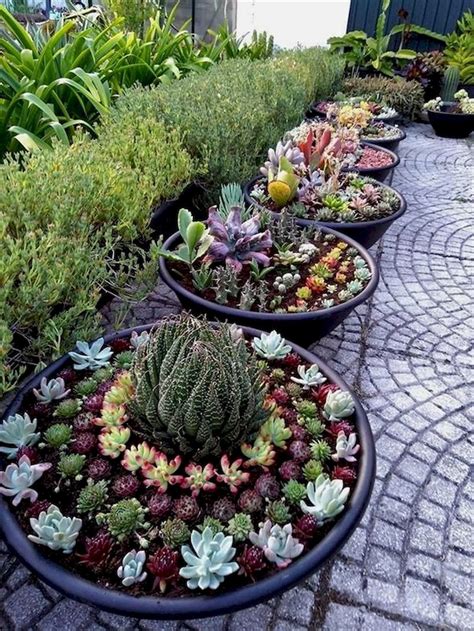 Incredible Succulent Garden Ideas Outdoor 2022