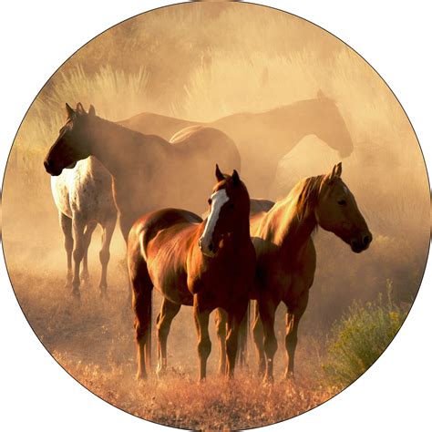 Spare Tire Cover With Horses Standing In Dusty Field All Tire Covers