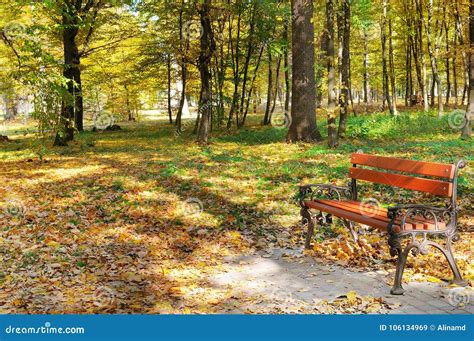 Beautiful Autumn Park With Paths And Benches Stock Image Image Of