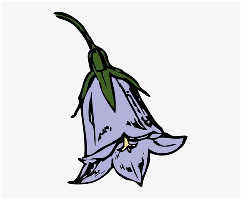 Blue Bell Flower Outline Images Best Flower Site