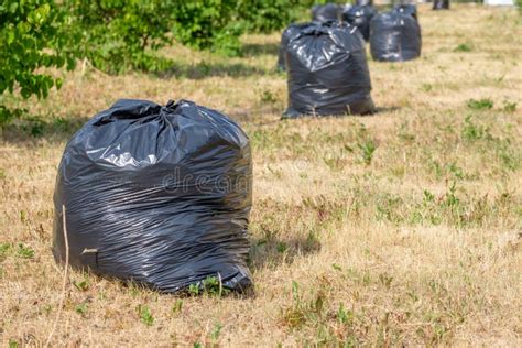 Caring For Nature Cleaning Up The Territory From Garbage Stock Photo