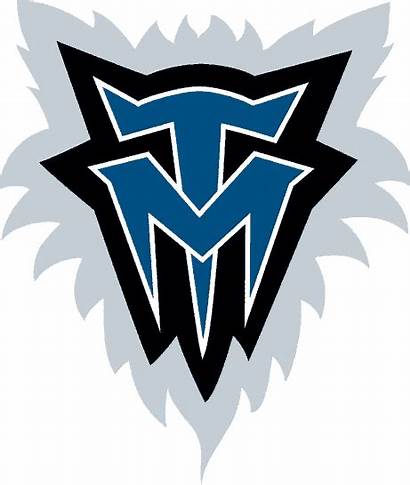 Timberwolves Minnesota Nba Logos Alternate Mt Wolves