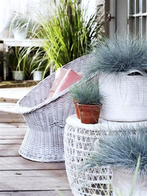 11 Best Indoor Grass Plants You Can Grow As Houseplants Balcony