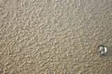 Images of How To Popcorn Ceiling