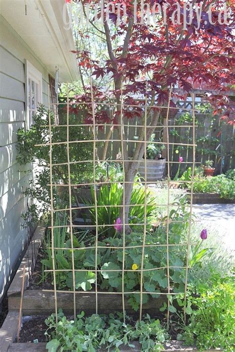 10 vegetable garden trellis ideas poster. How to Make a DIY Bamboo Trellis | Bamboo trellis, Bamboo ...