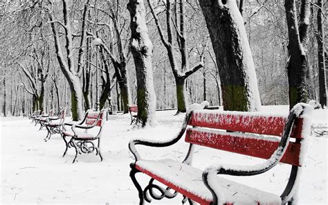 Benches In Snowy Winter Park