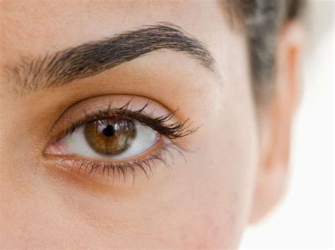 People With Bushy Eyebrows May Be More Likely To Be