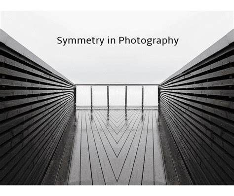 Symmetrical Photography Editing Mirror Effect Fotors Blog