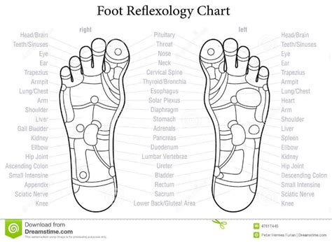 Free Printable Reflexology Chart