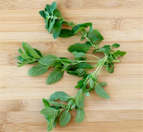 How To Dry Oregano Leaves 2 Easy Tricks The Frugal Girls