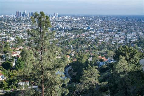 584 Los Angeles Skyline Daytime Stock Photos Free And Royalty Free