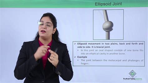 Class10th Ellipsoid Joint Locomotion And Movement Tutorials Point