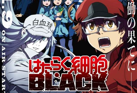 Cells At Work Code Black Receives A New Trailer Anime Corner