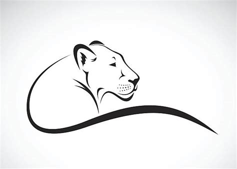 Lioness Illustrations Royalty Free Vector Graphics And Clip Art Istock