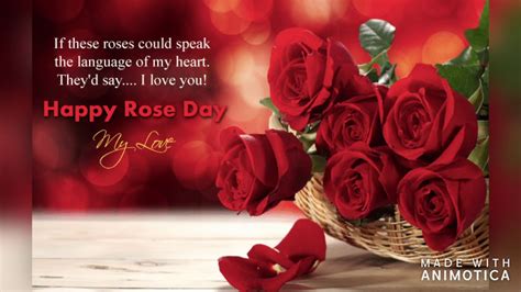 Happy Rose Day 2020 Rose Day Whatsapp Status 2020 Rose Day Status